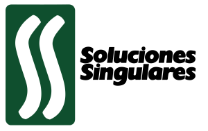 ss logo color