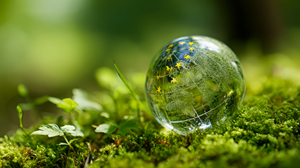 vecteezy ecology concept crystal ball reflecting a lush green forest 70629143@0.1x
