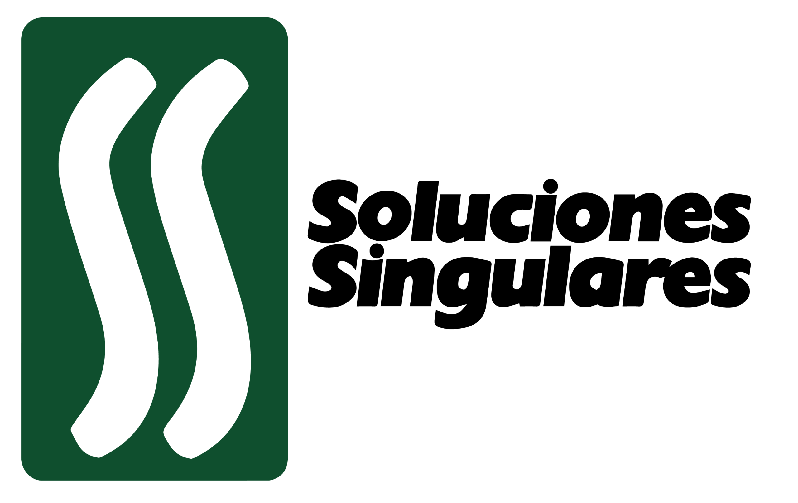 ss logo color